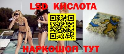 спайс Шелехов